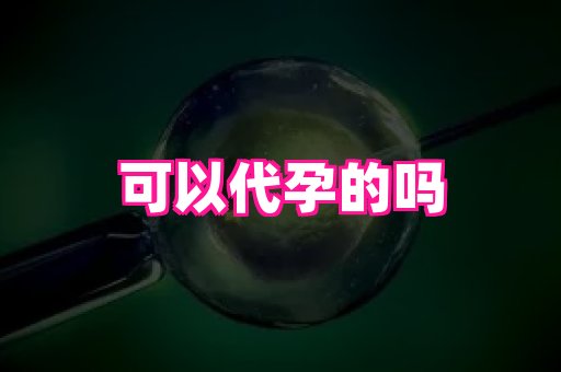 61助孕网 3